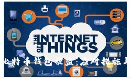 如何处理比特币钱包被盗：应对措施与预防技巧