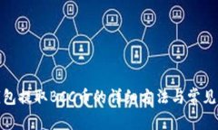 : 比特钱包提取BCC币的详细方法与常见问题解析