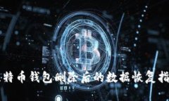 比特币钱包删除后的数据恢复指南