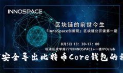 如何安全导出比特币Core钱包的私钥？