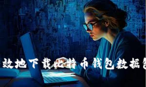 如何安全有效地下载比特币钱包数据包：全面指南