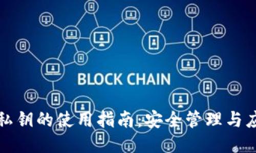 TP钱包私钥的使用指南：安全管理与应用技巧