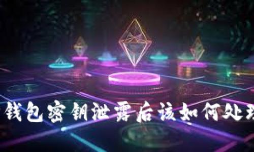 TP钱包密钥泄露后该如何处理？