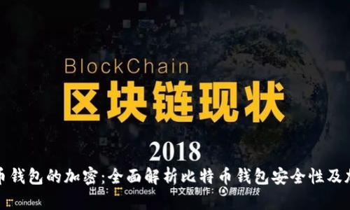 对比特币钱包的加密：全面解析比特币钱包安全性及加密技术