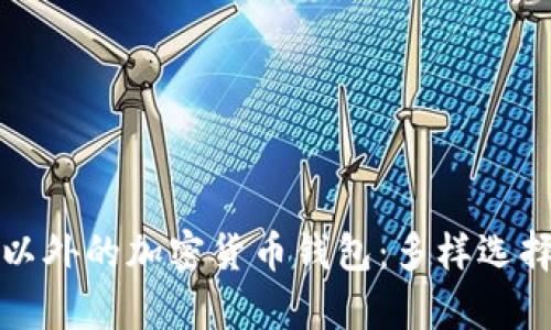 探索TP钱包以外的加密货币钱包：多样选择与功能解析