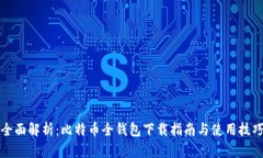 全面解析：比特币全钱包下载指南与使用技巧