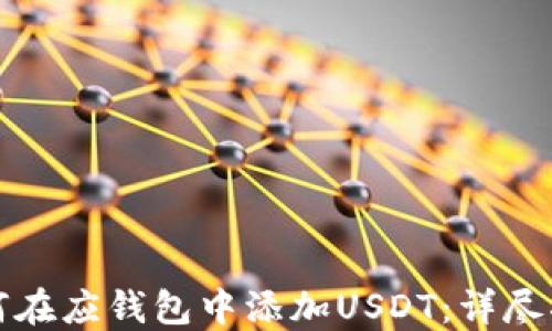 
如何在应钱包中添加USDT：详尽指南