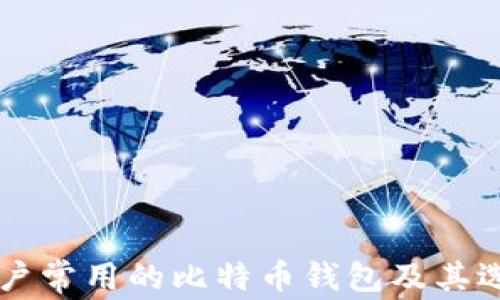 
中国用户常用的比特币钱包及其选择指南