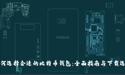 如何选择合适的比特币钱包：全面指南与下载选项