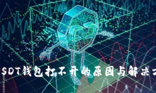 : USDT钱包打不开的原因与解决方案