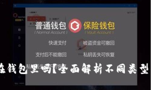 USDT可以存储在钱包里吗？全面解析不同类型的钱包与安全性
