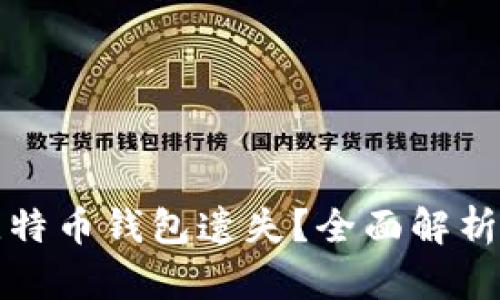 如何应对比特币钱包遗失？全面解析与解决方案