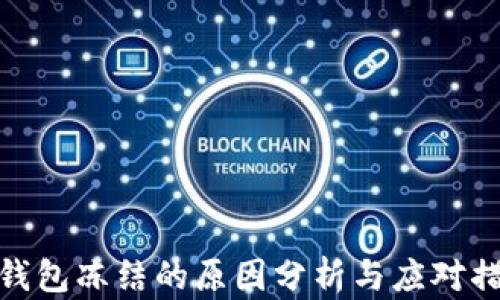 
TP钱包冻结的原因分析与应对措施