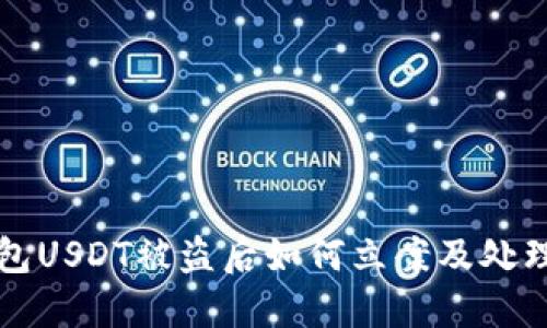 TP钱包USDT被盗后如何立案及处理指南