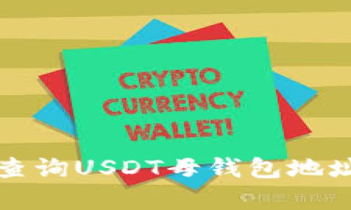 如何有效查询USDT母钱包地址及其余额