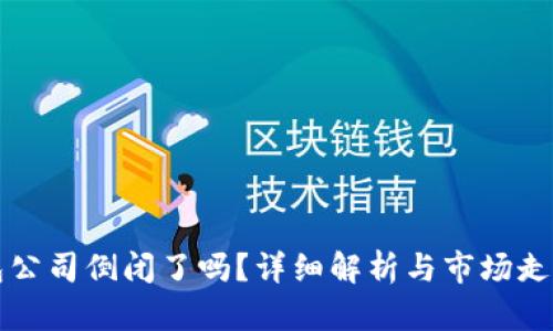 TP钱包公司倒闭了吗？详细解析与市场走势分析