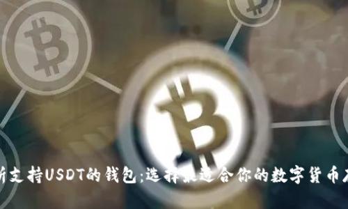 全面解析支持USDT的钱包：选择最适合你的数字货币存储方案