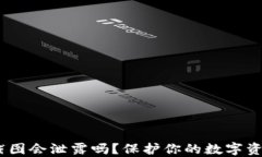 USDT钱包截图会泄露吗？保护你的数字资产安全指