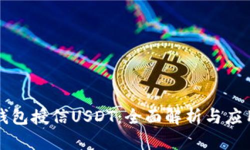 恒星钱包授信USDT：全面解析与应用指南