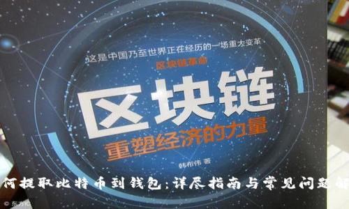 如何提取比特币到钱包：详尽指南与常见问题解答