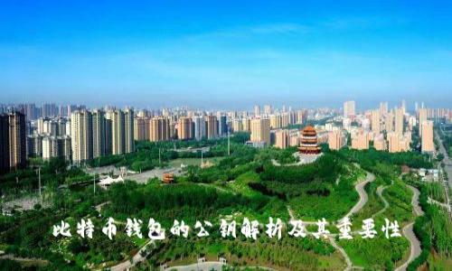 比特币钱包的公钥解析及其重要性