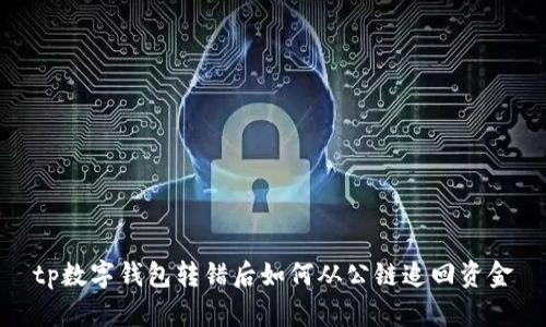 tp数字钱包转错后如何从公链追回资金