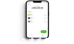 如何查询您的钱包中有多少USDT：全面指南