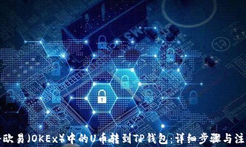 
如何将欧易（OKEx）中的U币转到TP钱包：详细步骤与注意事项