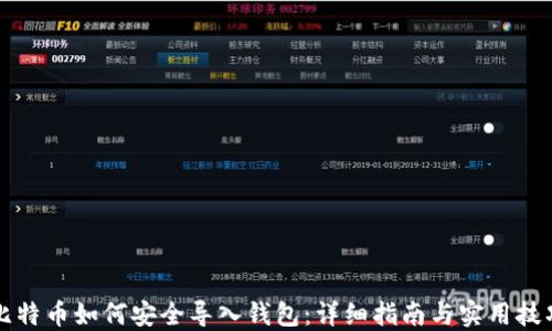 
比特币如何安全导入钱包：详细指南与实用技巧