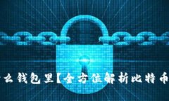 买了比特币放什么钱包里？全方位解析比特币钱