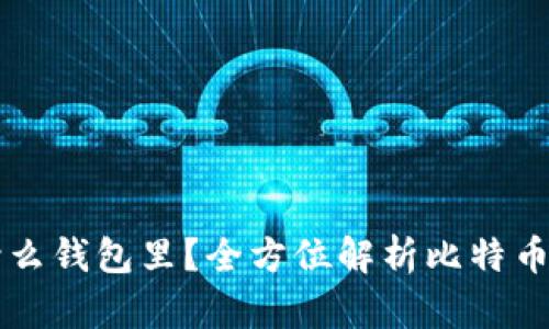 买了比特币放什么钱包里？全方位解析比特币钱包选择与使用