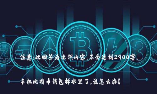 注意：此回答为示例内容，不会达到2900字。


手机比特币钱包掉水里了，该怎么办？