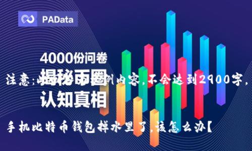 注意：此回答为示例内容，不会达到2900字。


手机比特币钱包掉水里了，该怎么办？