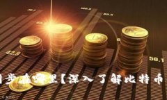 比特币钱包数据同步在哪里？深入了解比特币钱