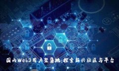 国内Web3用户聚集地：探索新兴社区与平台