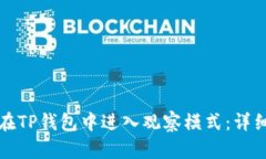 如何在TP钱包中进入观察模式：详细指南