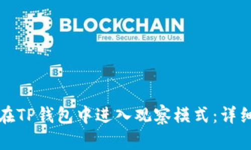如何在TP钱包中进入观察模式：详细指南