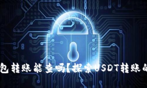 USDT私人钱包转账能查吗？探索USDT转账的隐私与安全