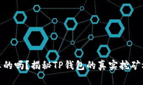 TP钱包挖矿是真的吗？揭秘TP钱包的真实挖矿机制与投资风险