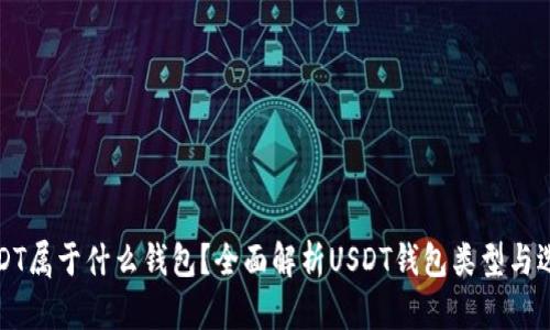USDT属于什么钱包？全面解析USDT钱包类型与选择