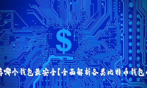 比特币存哪个钱包最安全？全面解析各类比特币钱包的优缺点