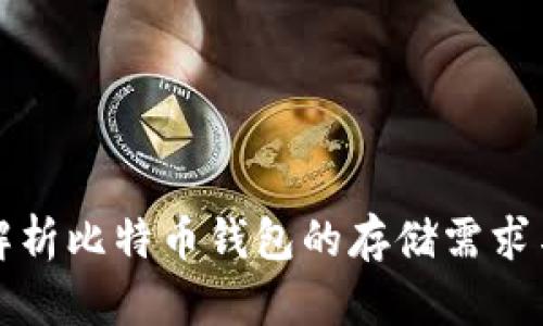 全面解析比特币钱包的存储需求与类型