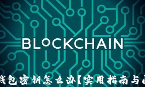 
忘记TP钱包密钥怎么办？实用指南与问题解析