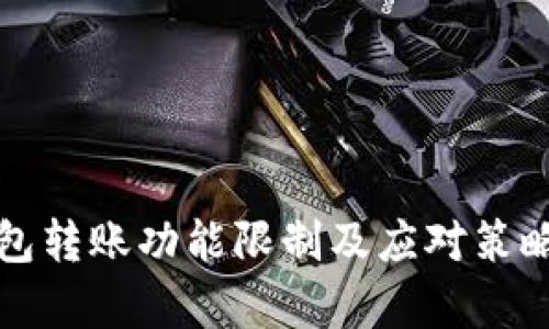 TP钱包转账功能限制及应对策略解析