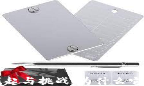 
Web3的崛起与挑战：为什么它会被“抓”?