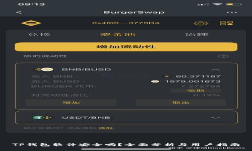 TP钱包软件安全吗？全面分析与用户指南