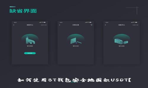 如何使用BT钱包安全地囤积USDT？