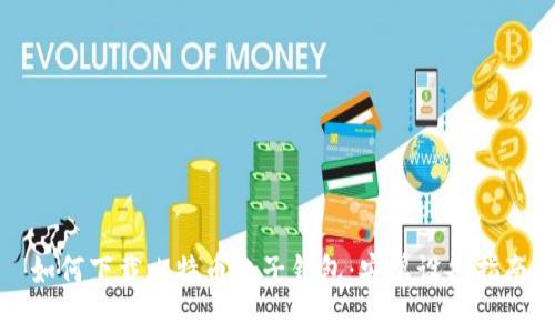 如何下载比特币电子钱包：安卓设备指南