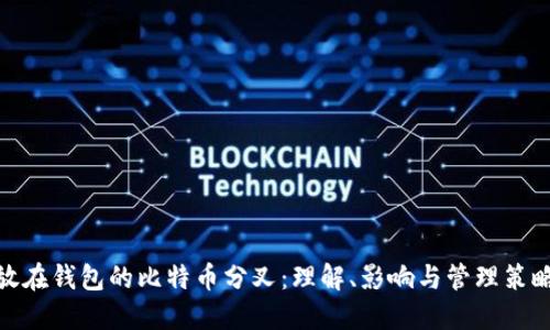 放在钱包的比特币分叉：理解、影响与管理策略