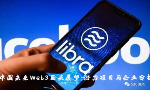 中国未来Web3巨头展望：潜力项目与企业分析